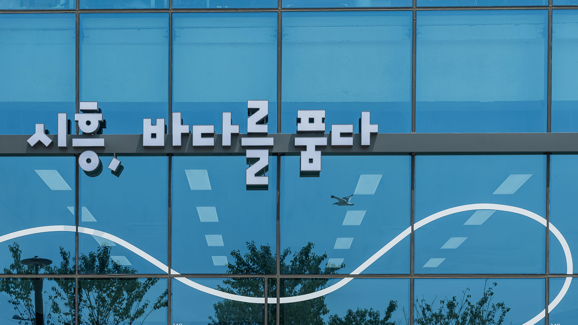 시화호 30주년을 맞아 오픈한 '거북이 홍보관' 공사